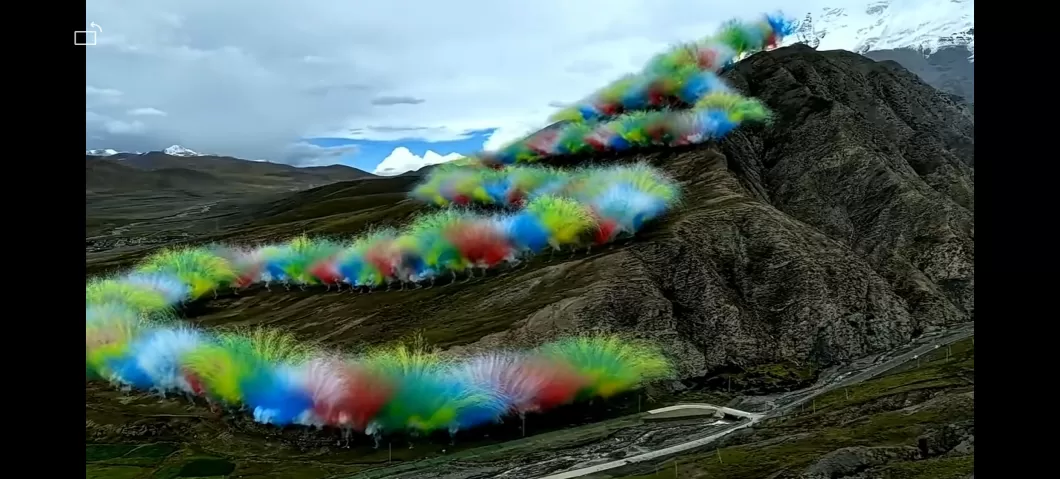 高原烟花秀引争议，植物学家：生态一旦破坏，需几十甚至上百年恢复-第1张图片-