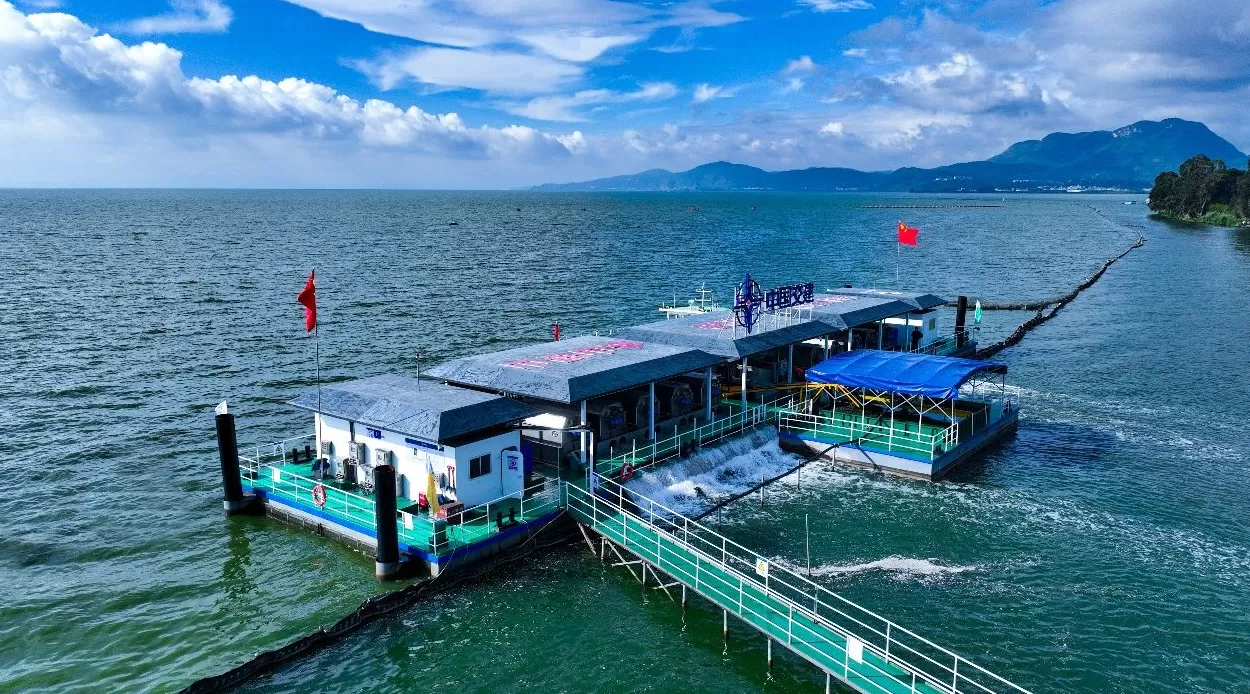 投运一周年,滇池“藻水共治”平台累计回补清水1.3亿立方米-第1张图片- 投运一周年,滇池“藻水共治”平台累计回补清水1.3亿立方米-第1张图片-