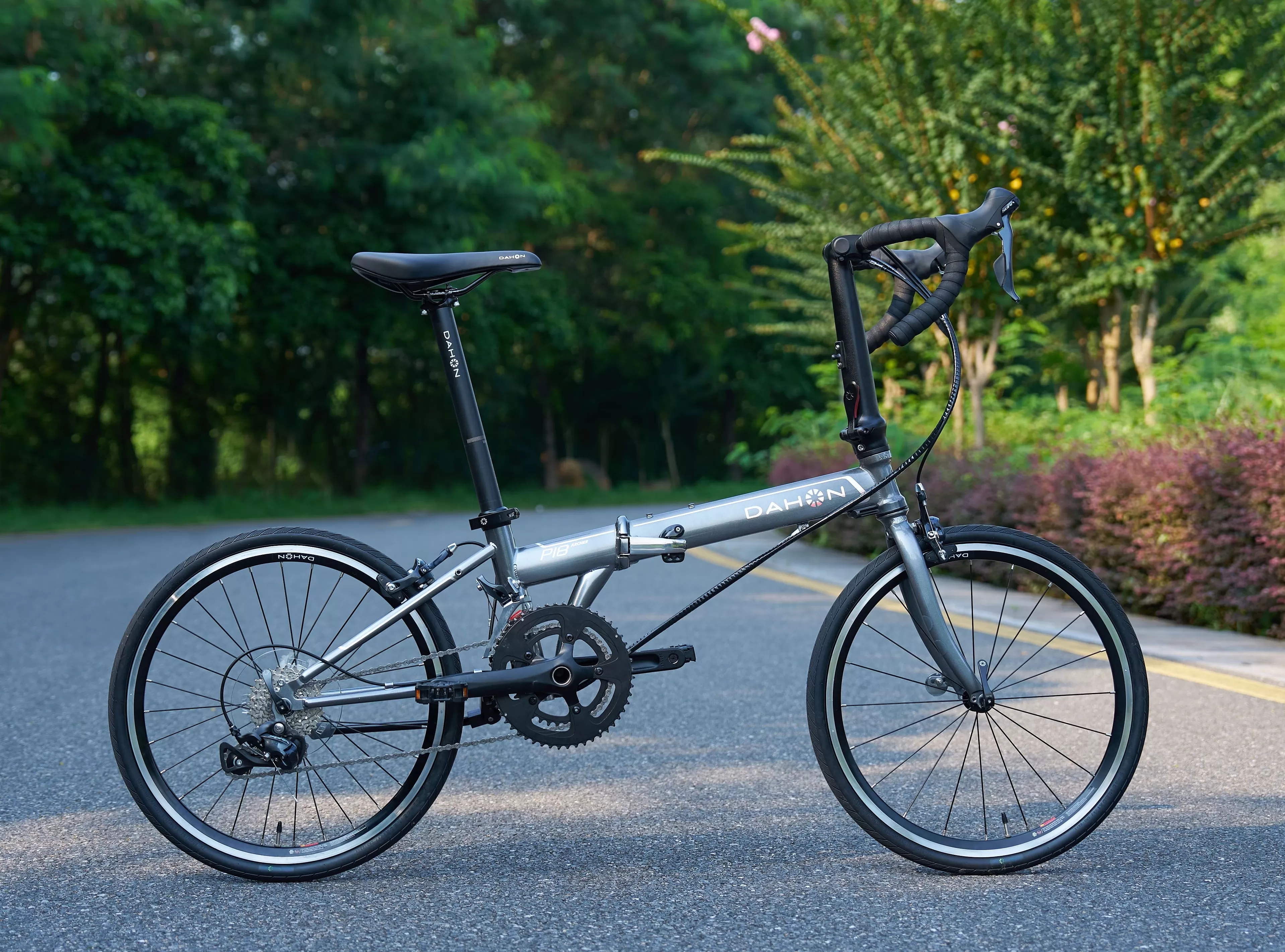 折叠车新秀大行火爆上市背后，出海减速与代工依赖隐现-第2张图片-