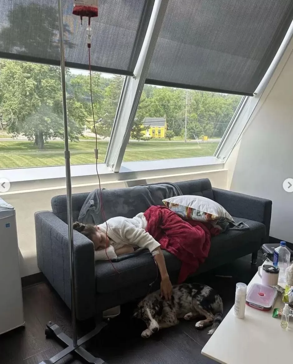 致命昆虫，专挑富人下手？-第5张图片-