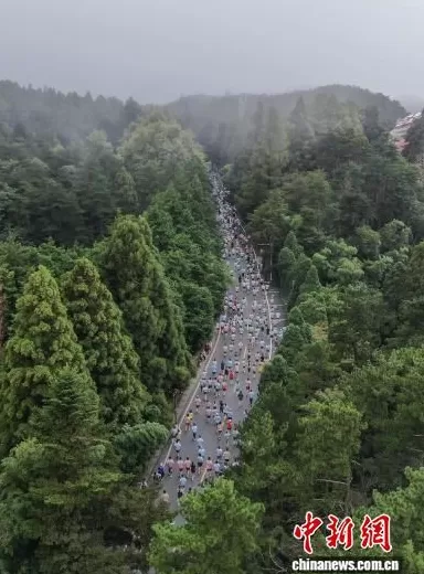 2025庐山半程马拉松赛开跑,选手奔跑于匡庐奇秀中-第4张图片- 2025庐山半程马拉松赛开跑,选手奔跑于匡庐奇秀中-第4张图片-