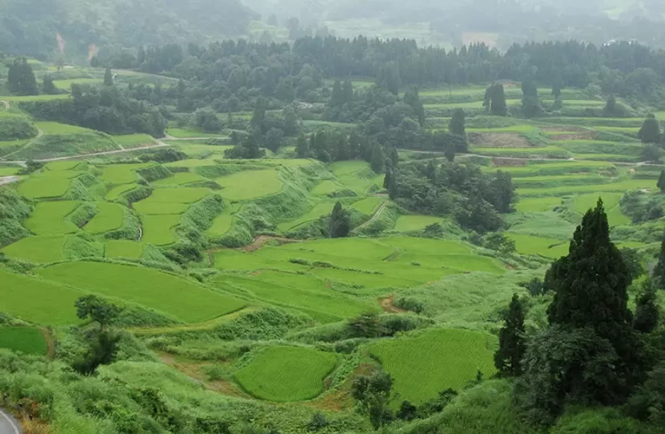 观察｜从蔡国强烟火事件看大地艺术的伦理困境-第7张图片-