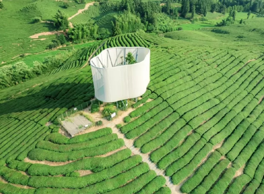 观察｜从蔡国强烟火事件看大地艺术的伦理困境-第8张图片-