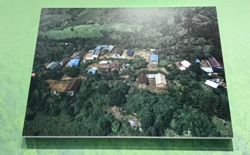 德宏检察：检察机关以公益诉讼助力守护犀鸟家园-第1张图片-