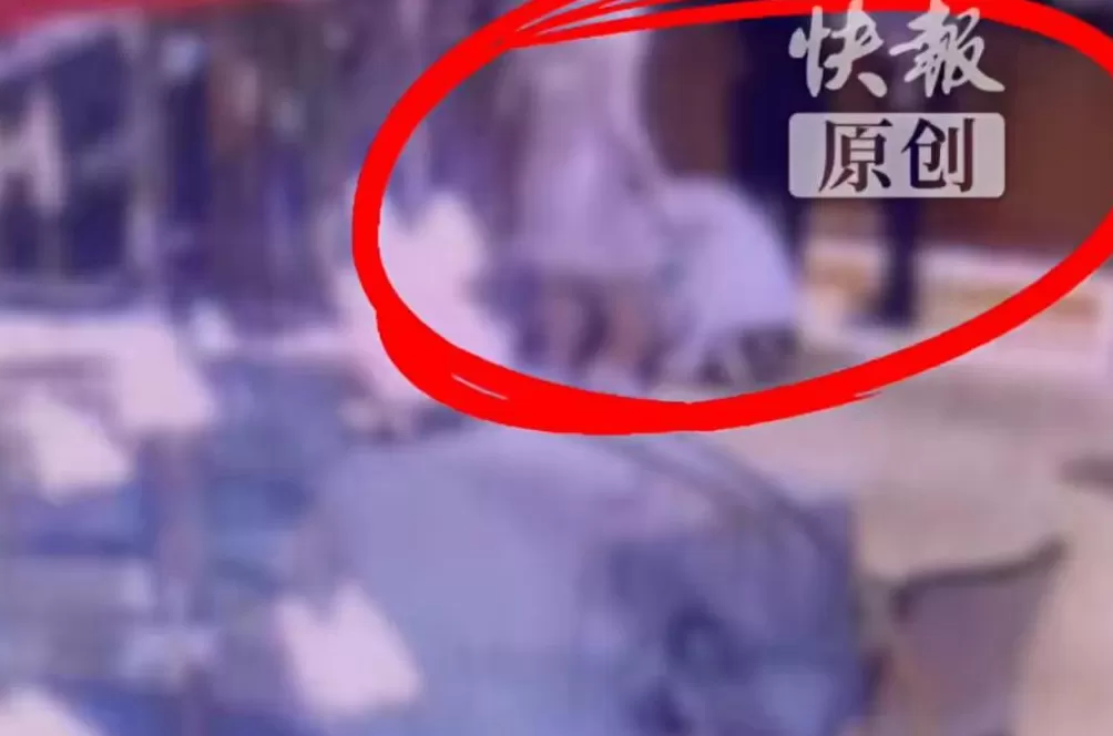 女子餐时与服务员发生争吵，被泼一壶开水烫伤！最新进展：涉事女服务员已被行拘10日，罚款200元-第1张图片-