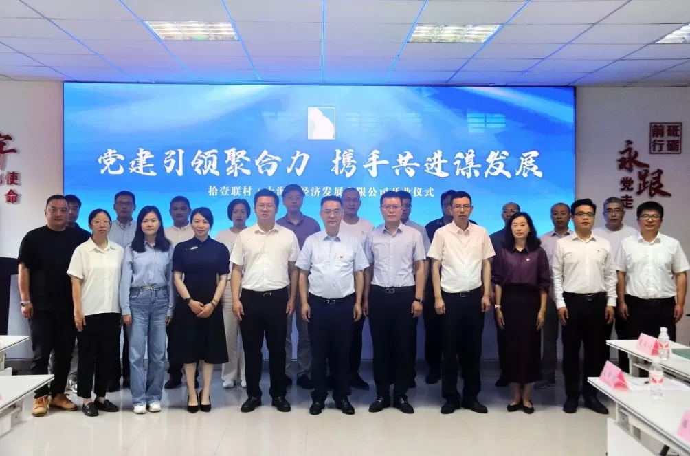 11个村合伙开公司背后，这名村支书致力于让“薄弱村拼出大市场”-第2张图片-