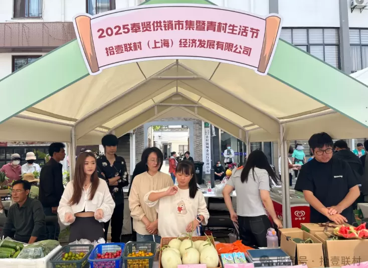 11个村合伙开公司背后，这名村支书致力于让“薄弱村拼出大市场”-第4张图片-