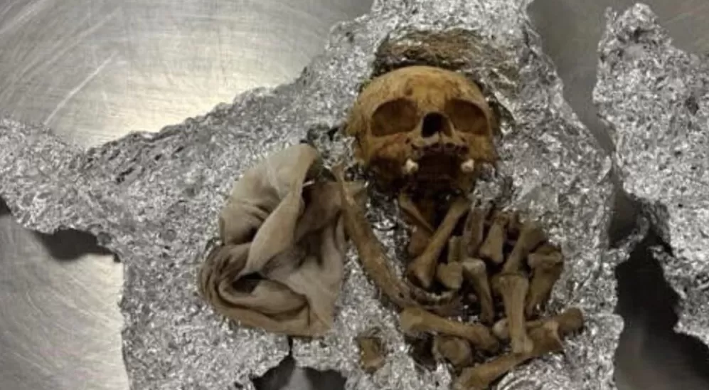 美国机场海关在一乘客行李中查获人类头骨,乘客:是用于举办仪式-第1张图片- 美国机场海关在一乘客行李中查获人类头骨,乘客:是用于举办仪式-第1张图片-