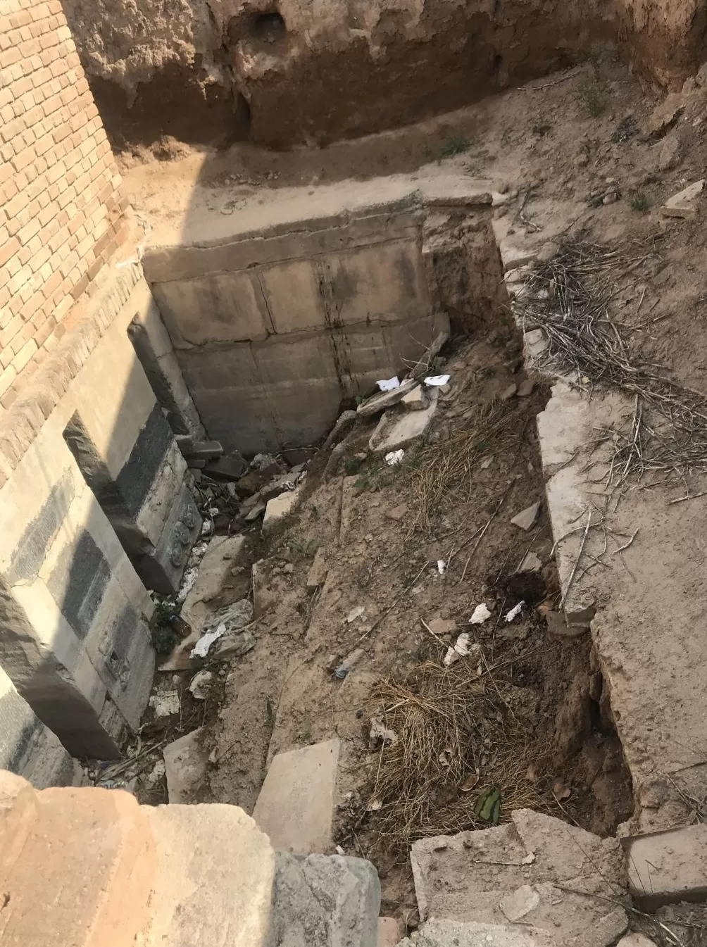 不追风口、不堆技术，中国年轻人想解决一点“实际问题”丨戴森设计大奖在华10年-第5张图片-