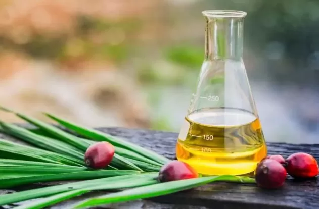 这种东西顿顿离不开,吃多了却容易一身病-第14张图片- 这种东西顿顿离不开,吃多了却容易一身病-第14张图片-