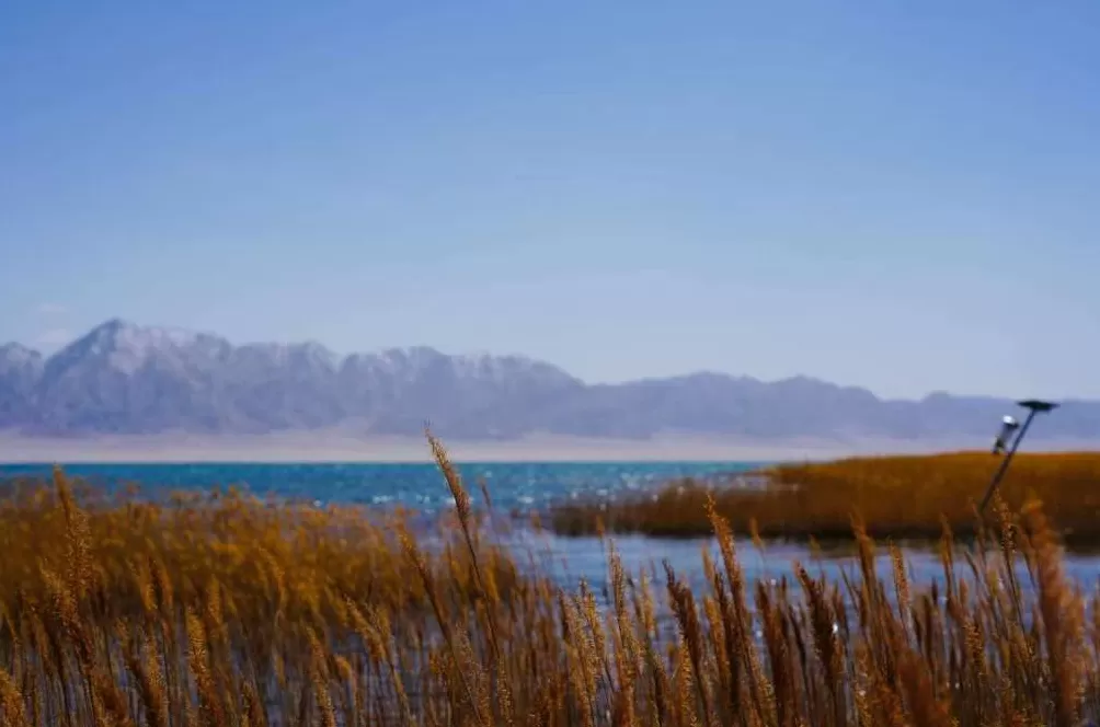 理水龙荒︱烽火与渠影：河西走廊水利遗产中的军事暗线-第7张图片-