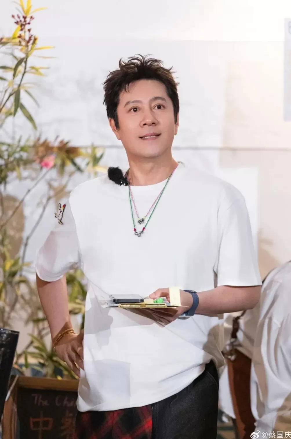 网友谴责蔡国强喜马拉雅山烟花秀，“误入”歌手蔡国庆评论区：为什么放烟花？好好唱歌不行吗？-第1张图片-