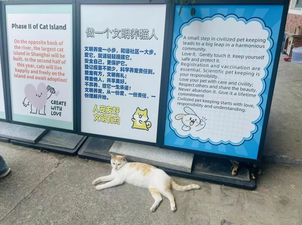 走进新时代文明实践阵地系列|聚力宝山,“活”起来的文明实践-第2张图片- 走进新时代文明实践阵地系列|聚力宝山,“活”起来的文明实践-第2张图片-