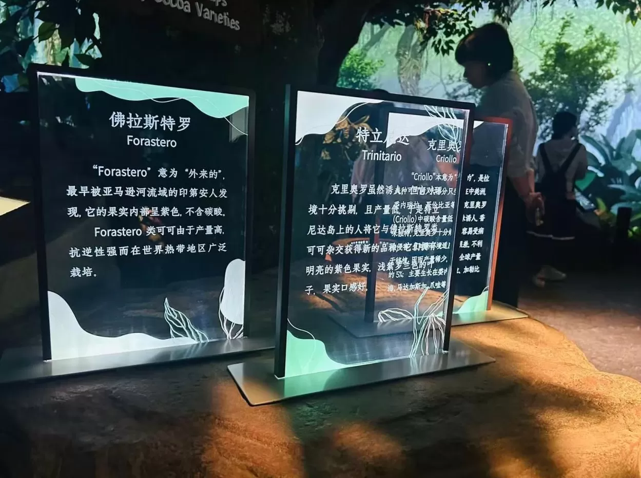 走进新时代文明实践阵地系列|聚力宝山,“活”起来的文明实践-第3张图片- 走进新时代文明实践阵地系列|聚力宝山,“活”起来的文明实践-第3张图片-