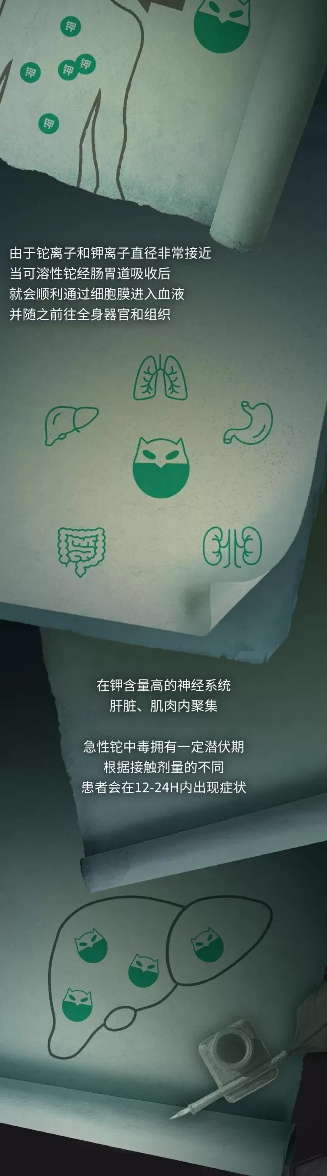 这种完美毒药，究竟是怎么杀死你的？-第4张图片-