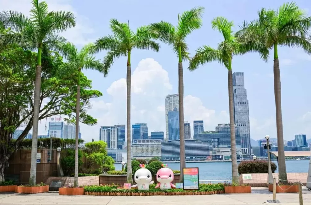 中国资产大爆发，背后藏着这三个城市-第3张图片-