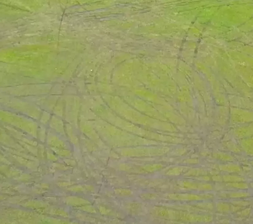 最美的净土，已经毁了-第13张图片-