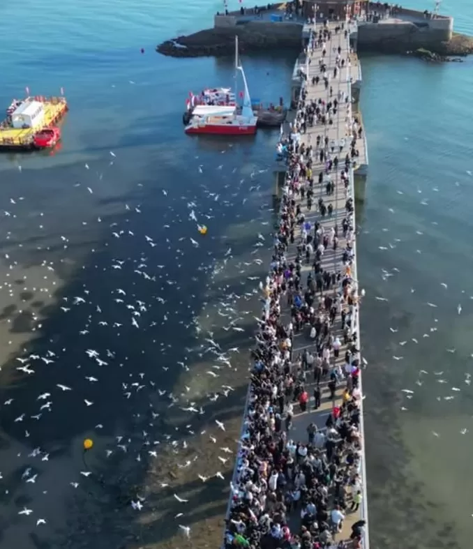 最美的净土，已经毁了-第27张图片-