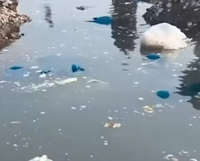 最美的净土，已经毁了-第28张图片-