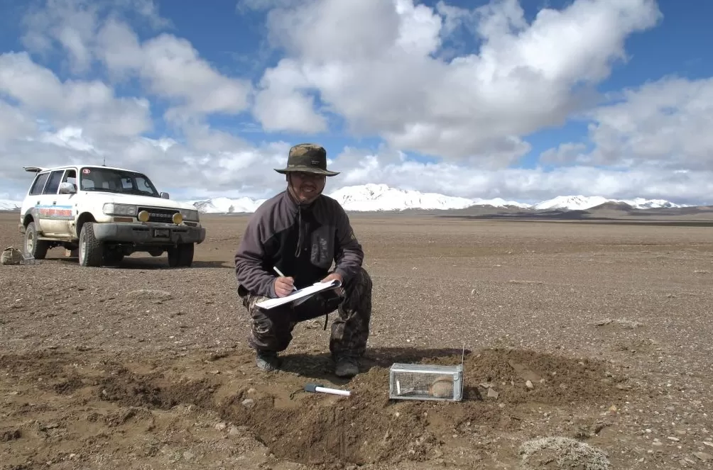 世界自然保护联盟专家李维东:烟花秀对高原冰川的影响为何比主办方预估的要大-第1张图片- 世界自然保护联盟专家李维东:烟花秀对高原冰川的影响为何比主办方预估的要大-第1张图片-