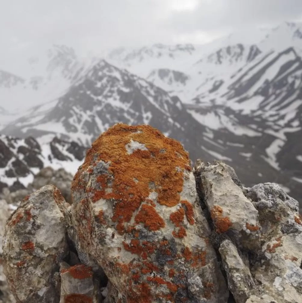 世界自然保护联盟专家李维东:烟花秀对高原冰川的影响为何比主办方预估的要大-第8张图片- 世界自然保护联盟专家李维东:烟花秀对高原冰川的影响为何比主办方预估的要大-第8张图片-