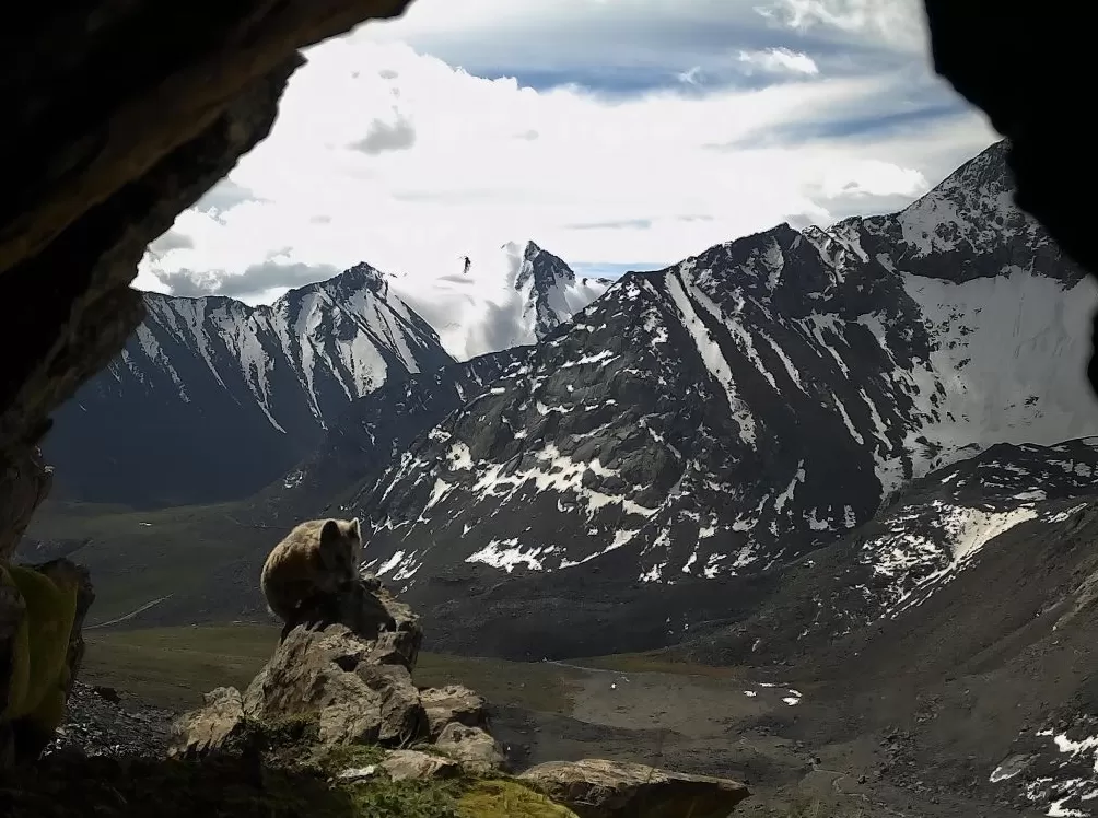 世界自然保护联盟专家李维东:烟花秀对高原冰川的影响为何比主办方预估的要大-第11张图片- 世界自然保护联盟专家李维东:烟花秀对高原冰川的影响为何比主办方预估的要大-第11张图片-