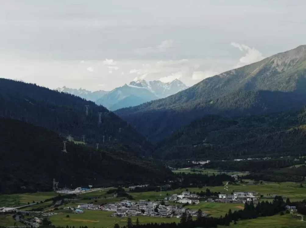 高原烟花，炸碎了品牌遮羞布-第11张图片-