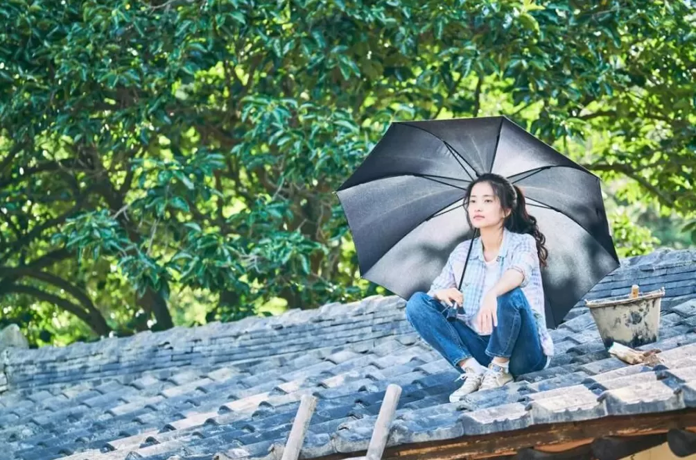 高原烟花，炸碎了品牌遮羞布-第10张图片-