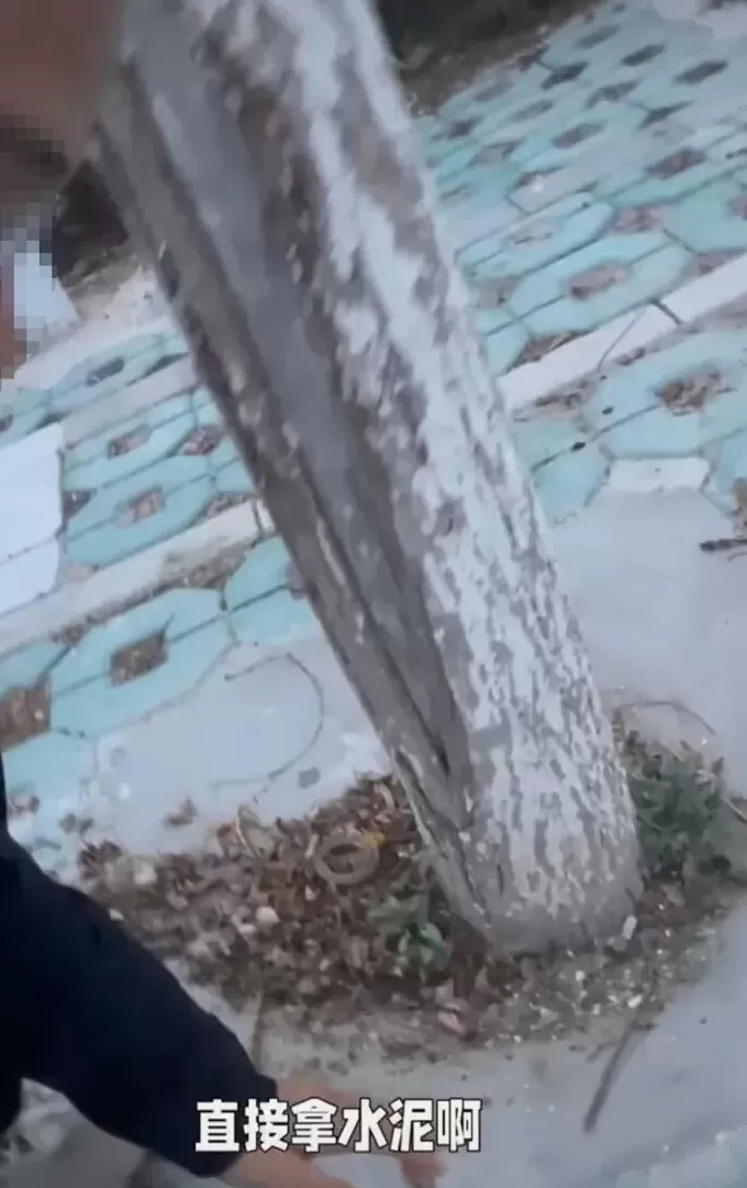 银川一国家级城市湿地公园被指“水泥封树坑”，当地自然资源局回应-第1张图片-