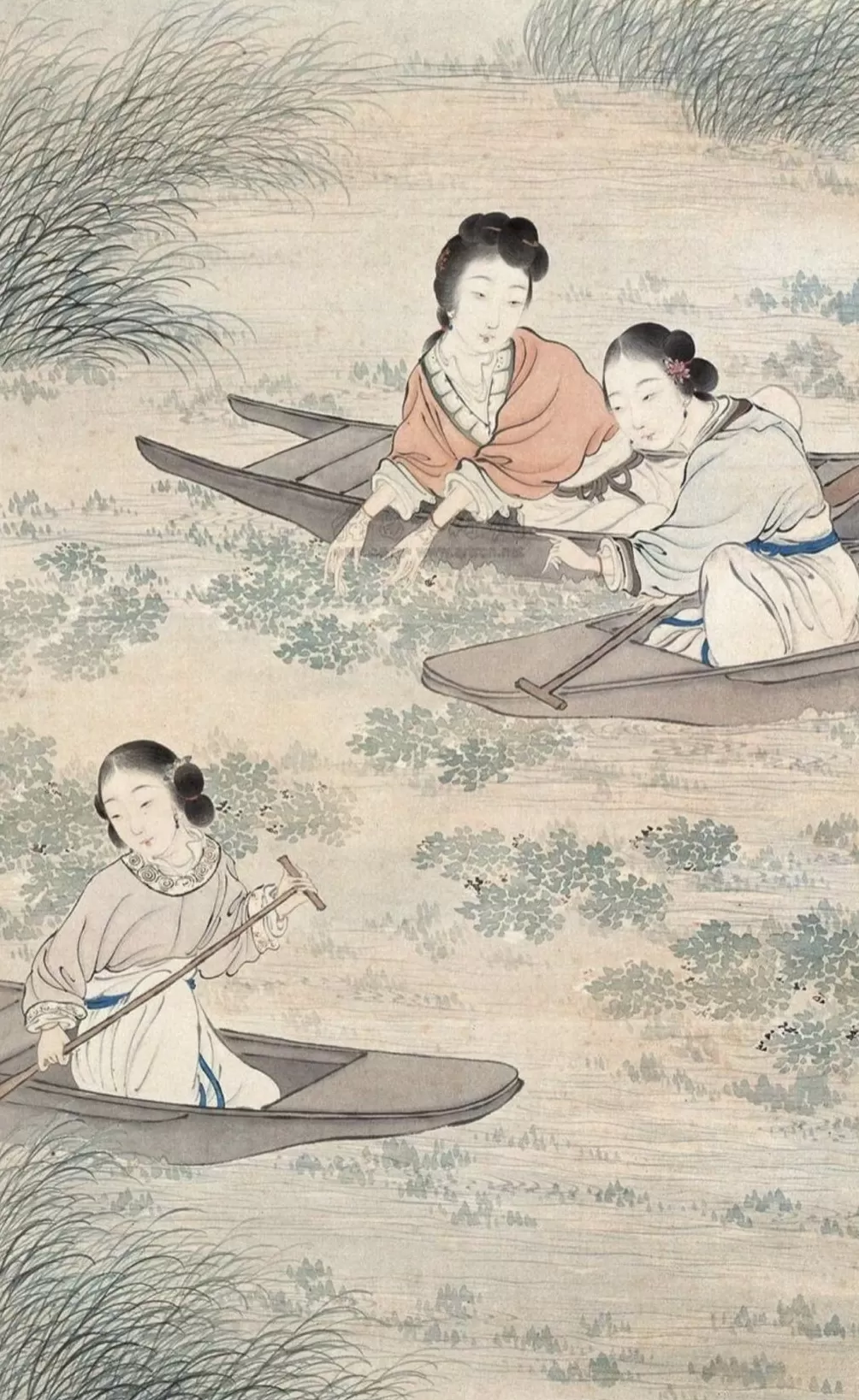 秋分时节，煨一碗鲜菱-第3张图片-