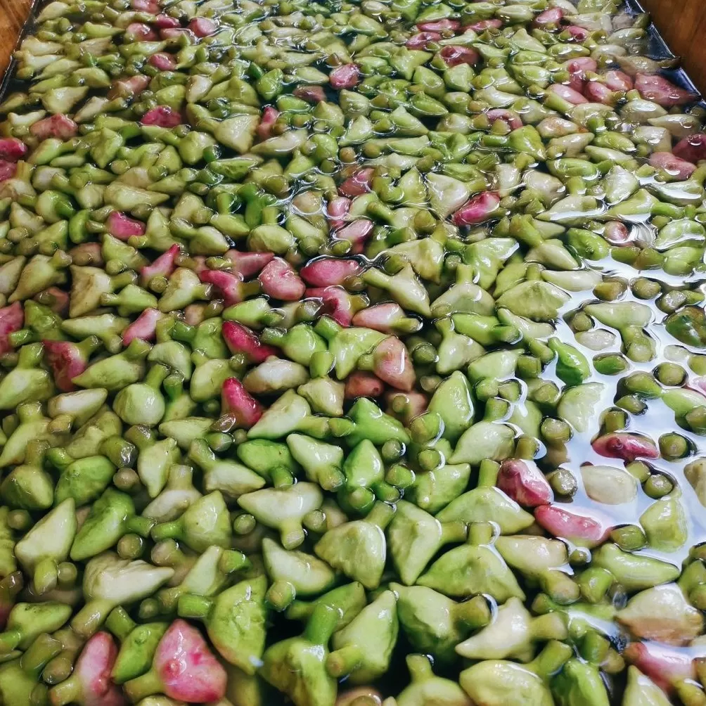 秋分时节，煨一碗鲜菱-第4张图片-