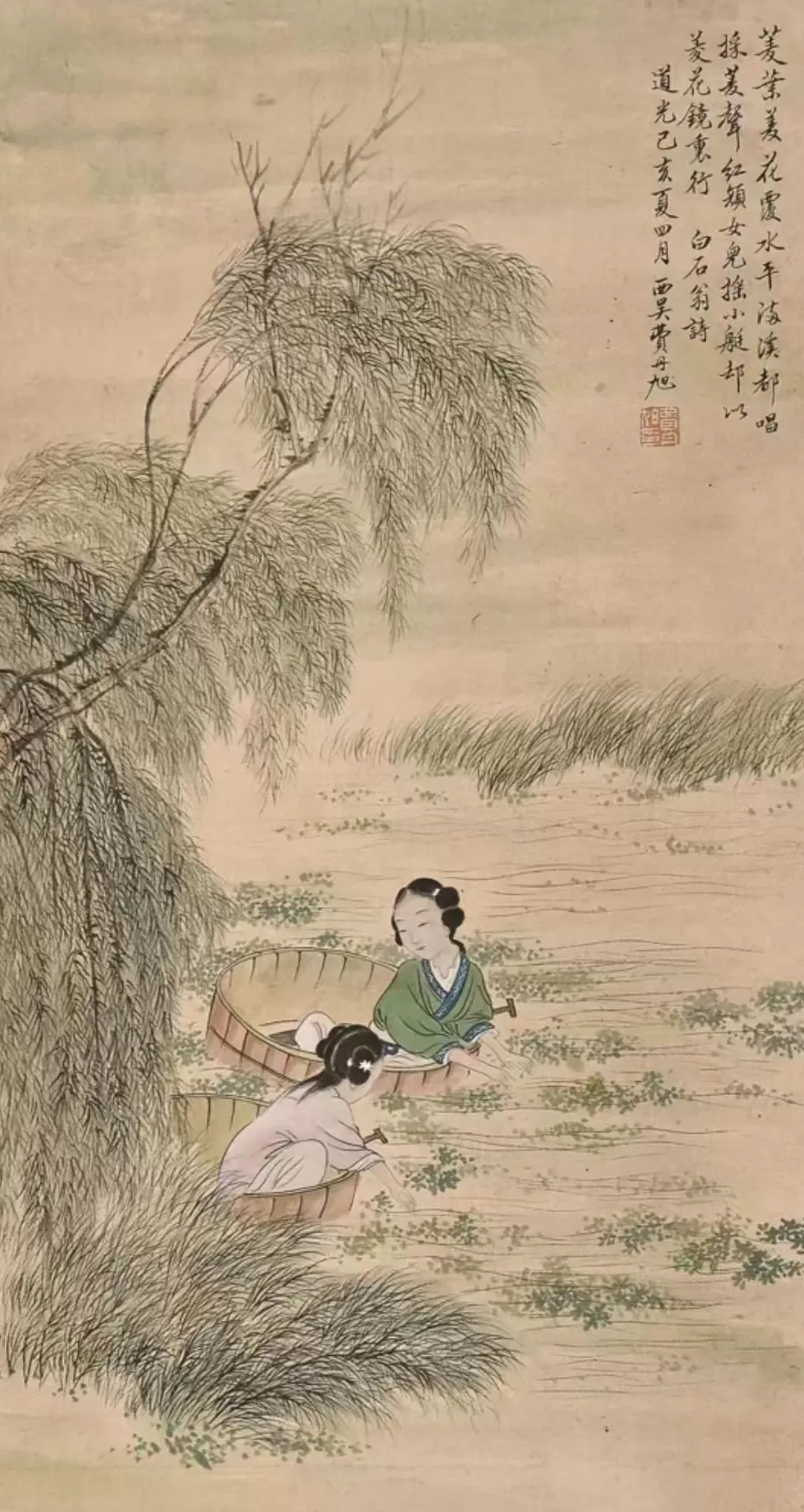 秋分时节，煨一碗鲜菱-第7张图片-