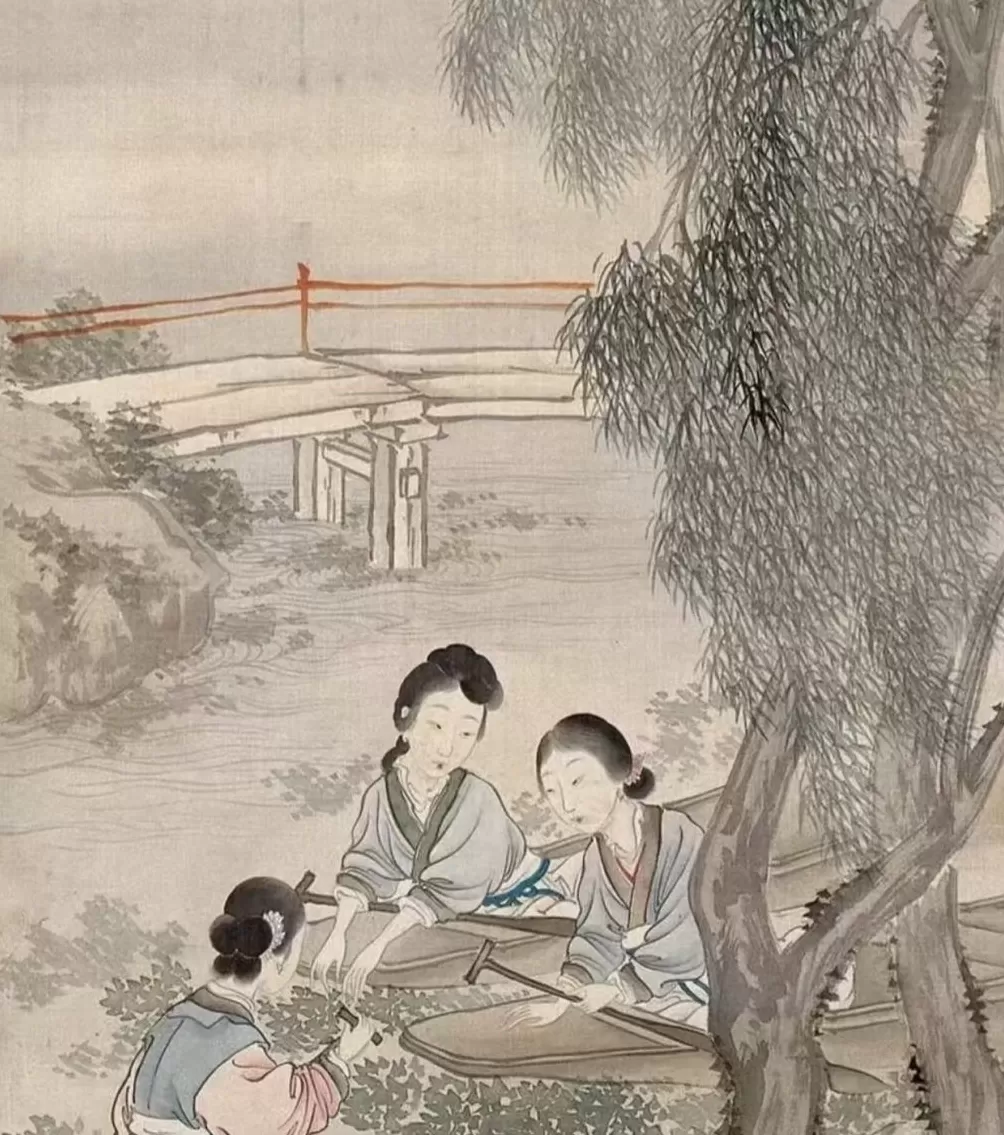 秋分时节，煨一碗鲜菱-第8张图片-