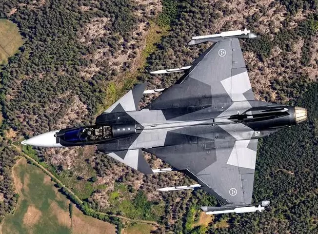 紧张！德国、瑞典战机直接与俄机缠斗，会正面冲突吗？-第2张图片-