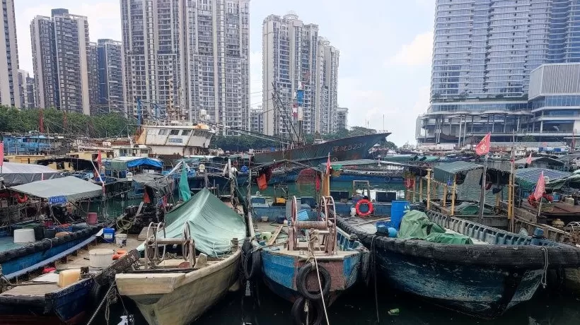 “桦加沙”将登陆深圳到徐闻沿海，广东已有10个城市宣布“五停”-第1张图片-