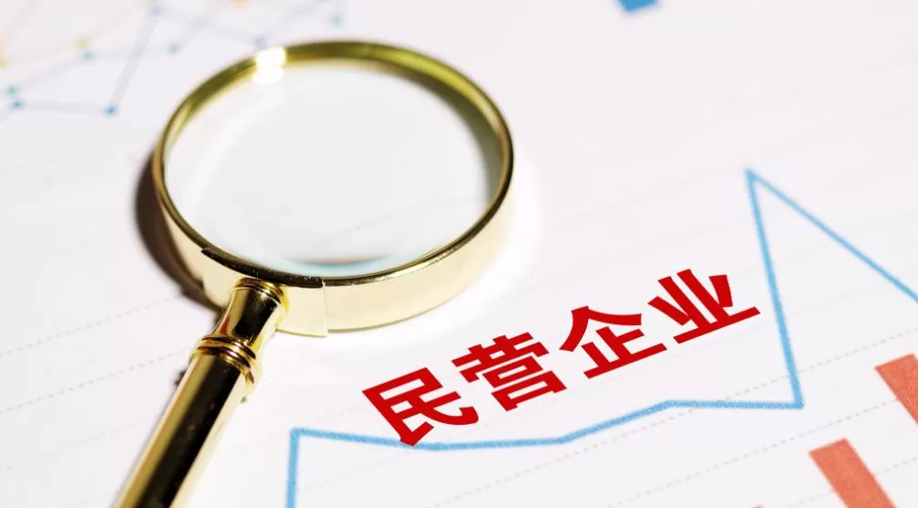 白皮书:民企公司治理仍存缺陷,请求变更公司登记案增幅最快-第1张图片- 白皮书:民企公司治理仍存缺陷,请求变更公司登记案增幅最快-第1张图片-