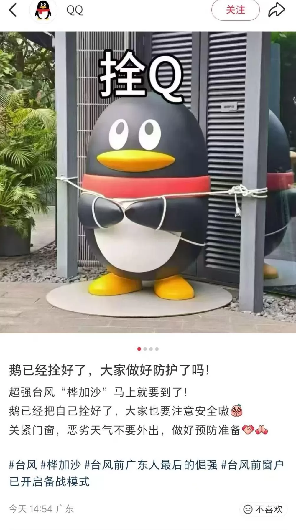 企鹅变“拴Q”、汽车被五花大绑、商超剩下辣椒,广东多地提醒无需过度囤货-第1张图片- 企鹅变“拴Q”、汽车被五花大绑、商超剩下辣椒,广东多地提醒无需过度囤货-第1张图片-