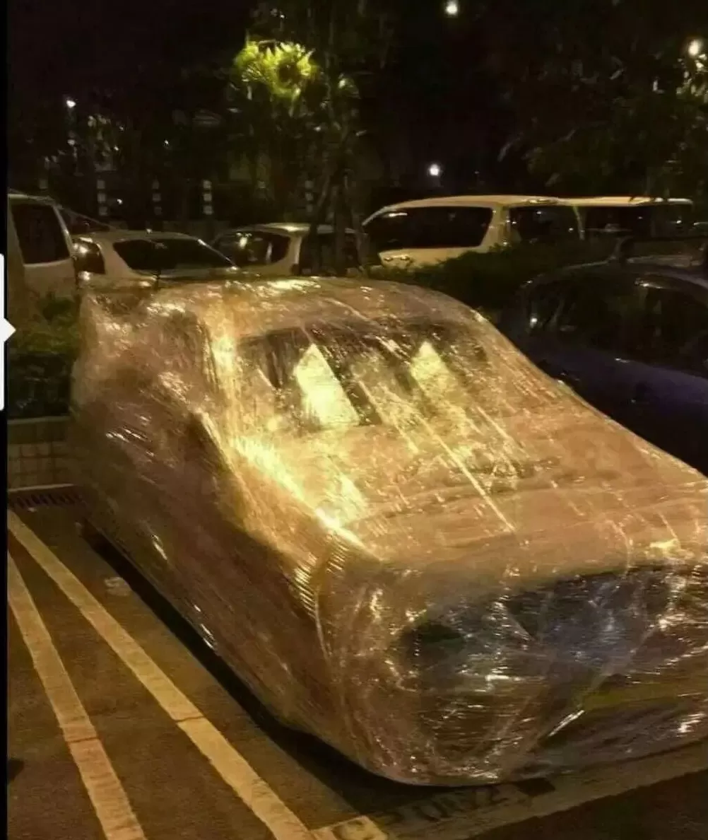 企鹅变“拴Q”、汽车被五花大绑、商超剩下辣椒,广东多地提醒无需过度囤货-第6张图片- 企鹅变“拴Q”、汽车被五花大绑、商超剩下辣椒,广东多地提醒无需过度囤货-第6张图片-