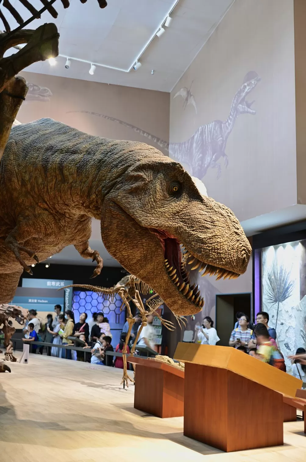 上海自博馆、天文馆国庆假期将延时开放，还有这些特色活动-第1张图片-