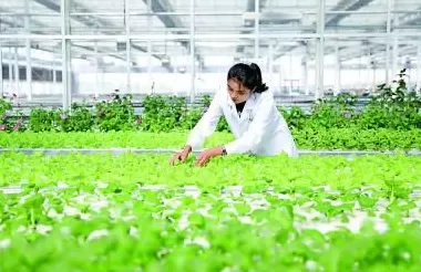 新疆维吾尔自治区70年发展成就斐然——同心共筑梦天山绽新颜-第3张图片-