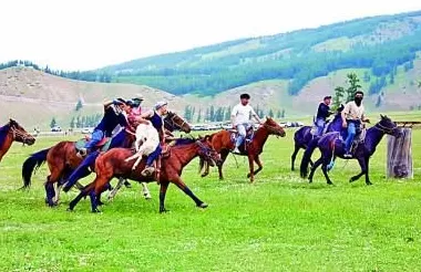 新疆维吾尔自治区70年发展成就斐然——同心共筑梦天山绽新颜-第2张图片-