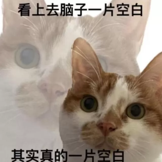 时隔快一百年,胖东来又把自有品牌带火了?-第5张图片- 时隔快一百年,胖东来又把自有品牌带火了?-第5张图片-