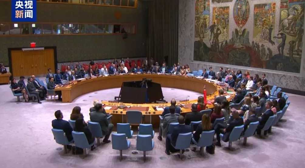 联大多国呼吁落实“两国方案”美国却在“违抗世界”-第6张图片-