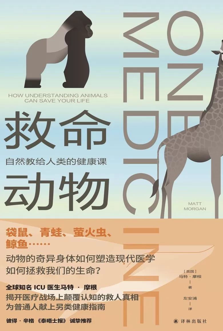 科普书单·新书|从建造金字塔到探索无穷大-第12张图片- 科普书单·新书|从建造金字塔到探索无穷大-第12张图片-