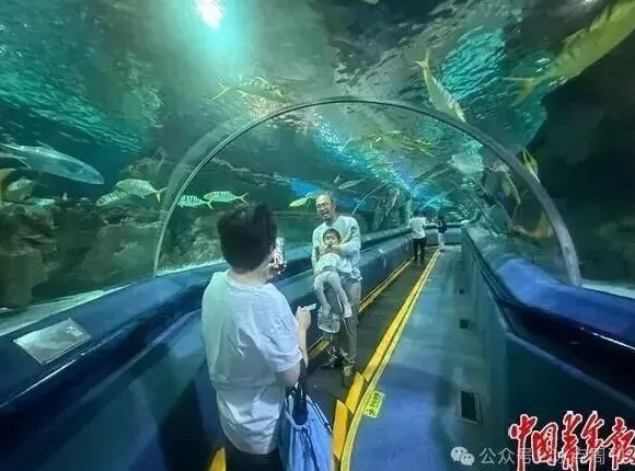 卖企鹅,出租海豚,海洋馆没“鲸”费了-第5张图片- 卖企鹅,出租海豚,海洋馆没“鲸”费了-第5张图片-