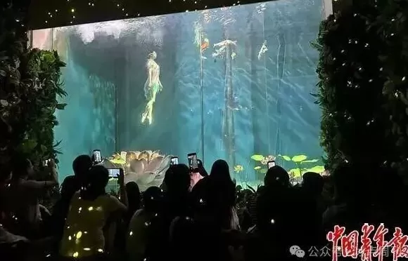 卖企鹅,出租海豚,海洋馆没“鲸”费了-第6张图片- 卖企鹅,出租海豚,海洋馆没“鲸”费了-第6张图片-