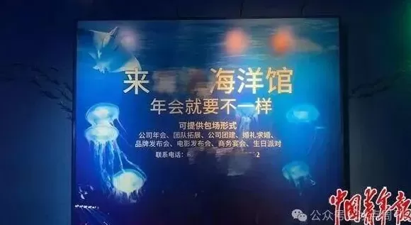 卖企鹅,出租海豚,海洋馆没“鲸”费了-第7张图片- 卖企鹅,出租海豚,海洋馆没“鲸”费了-第7张图片-