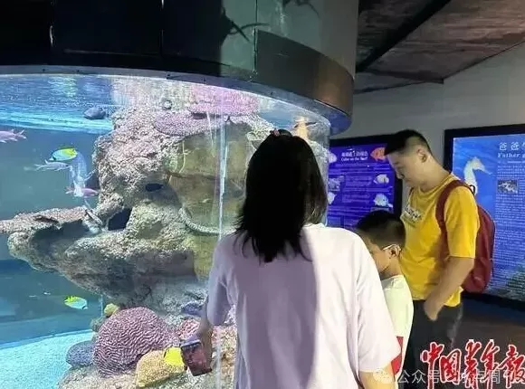 卖企鹅,出租海豚,海洋馆没“鲸”费了-第9张图片- 卖企鹅,出租海豚,海洋馆没“鲸”费了-第9张图片-