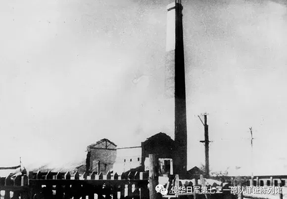 《731：医学的沦陷》：来自历史的真相和个体的血泪证言-第1张图片-