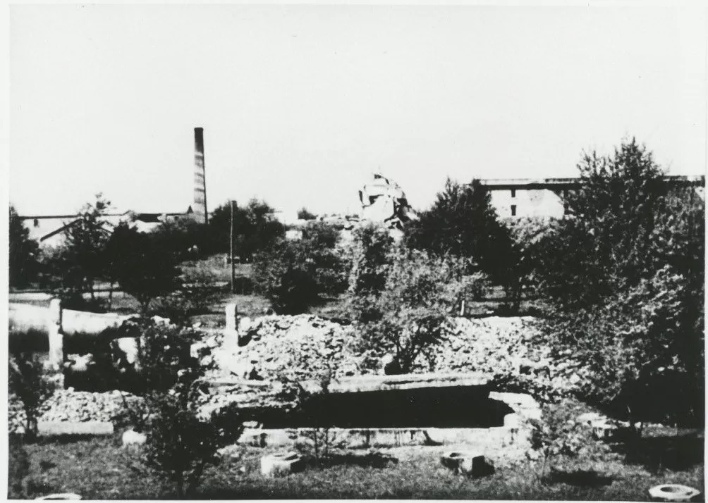 《731：医学的沦陷》：来自历史的真相和个体的血泪证言-第8张图片-